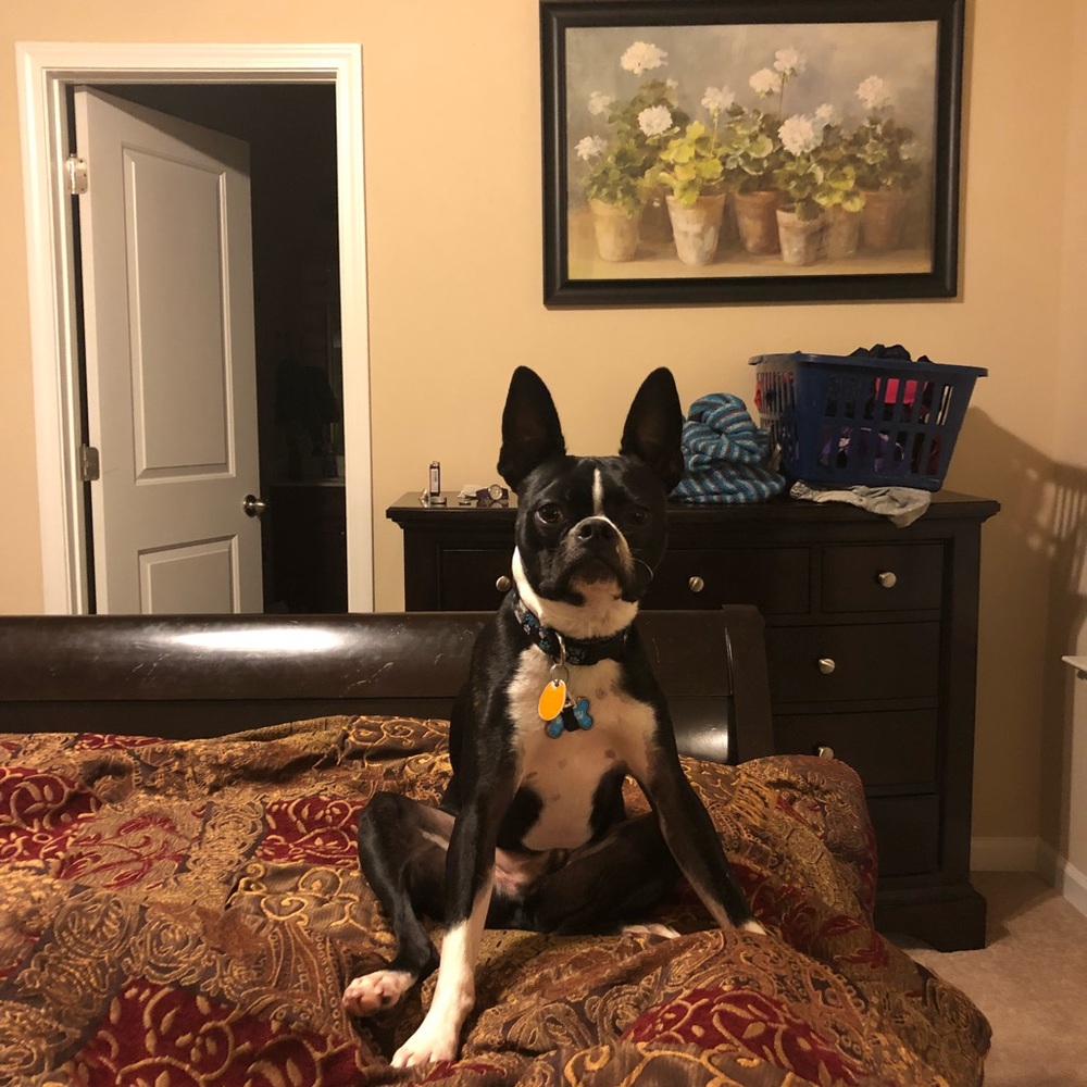 Meet your Posher, Susan